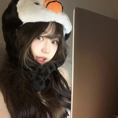 小鹬初登场